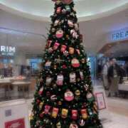 かな 🎄♥️ 出会い系人妻ネットワーク 春日部〜岩槻編