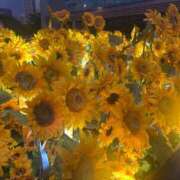 ヒメ日記 2025/08/14 01:11 投稿 かな MINT（ミント）