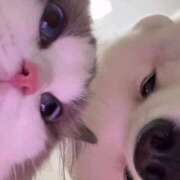 ヒメ日記 2026/03/13 22:19 投稿 かな MINT（ミント）