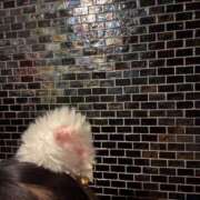 ヒメ日記 2026/03/23 22:26 投稿 かな MINT（ミント）