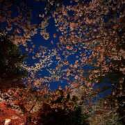 ヒメ日記 2026/04/03 00:05 投稿 かな MINT（ミント）