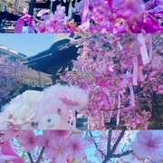 ヒメ日記 2026/03/13 20:34 投稿 ユキ variation(バリエーション)