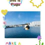 ヒメ日記 2026/04/24 17:00 投稿 ユキ variation(バリエーション)