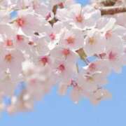 紗莉(さり) おはようございます モアグループ西川口人妻城