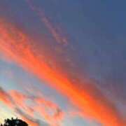 ヒメ日記 2025/07/19 08:04 投稿 りり 池袋しろパラ