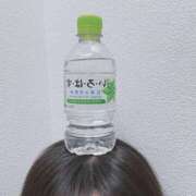 りり 今日17時までです🧸 池袋しろパラ