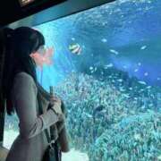 ヒメ日記 2025/07/22 22:43 投稿 ★七瀬あいか★ CLUB39（クラブサンキュー）