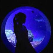 ゆん お休みいただきました😭 ナチュラルプリンセス