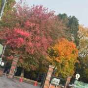 ヒメ日記 2025/10/29 09:18 投稿 まな【男性経験ほぼ無し！】 ソープランド看護学院ディエックス