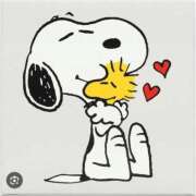 ヒメ日記 2025/12/03 02:28 投稿 まな【男性経験ほぼ無し！】 ソープランド看護学院ディエックス