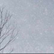 ヒメ日記 2025/12/03 14:39 投稿 まな【男性経験ほぼ無し！】 ソープランド看護学院ディエックス