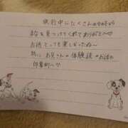 ヒメ日記 2026/05/25 11:48 投稿 まな【男性経験ほぼ無し！】 ソープランド看護学院ディエックス