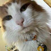 ヒメ日記 2025/07/11 20:16 投稿 はな 奈良橿原大和高田ちゃんこ