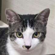 ヒメ日記 2025/07/12 13:37 投稿 はな 奈良橿原大和高田ちゃんこ