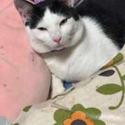 ヒメ日記 2025/07/12 17:26 投稿 はな 奈良橿原大和高田ちゃんこ