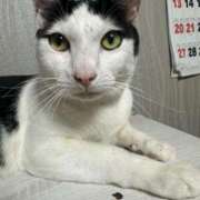 ヒメ日記 2025/07/13 21:07 投稿 はな 奈良橿原大和高田ちゃんこ