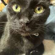 ヒメ日記 2025/07/15 19:31 投稿 はな 奈良橿原大和高田ちゃんこ