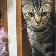 ヒメ日記 2025/08/07 12:10 投稿 はな 奈良橿原大和高田ちゃんこ