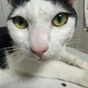 ヒメ日記 2025/08/07 21:53 投稿 はな 奈良橿原大和高田ちゃんこ