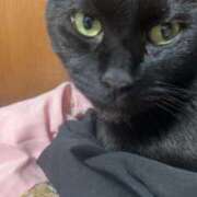 ヒメ日記 2025/09/25 15:19 投稿 はな 奈良橿原大和高田ちゃんこ