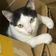 ヒメ日記 2025/09/29 10:16 投稿 はな 奈良橿原大和高田ちゃんこ