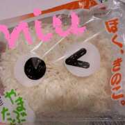 ヒメ日記 2025/12/17 16:52 投稿 みう 千葉人妻セレブリティ（ユメオト）