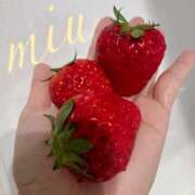 ヒメ日記 2025/12/28 22:40 投稿 みう 千葉人妻セレブリティ（ユメオト）