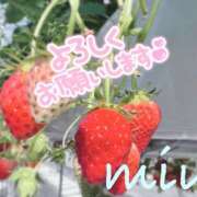 ヒメ日記 2026/02/06 08:10 投稿 みう 千葉人妻セレブリティ（ユメオト）