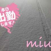 ヒメ日記 2026/02/09 06:20 投稿 みう 千葉人妻セレブリティ（ユメオト）