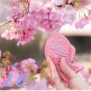 ヒメ日記 2026/02/24 11:09 投稿 みう 千葉人妻セレブリティ（ユメオト）