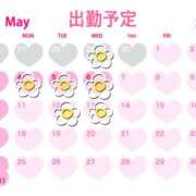 ヒメ日記 2026/04/28 09:47 投稿 みう 千葉人妻セレブリティ（ユメオト）
