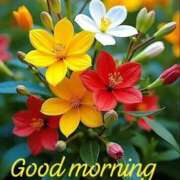 ヒメ日記 2025/08/26 08:26 投稿 野村 MCロイヤル