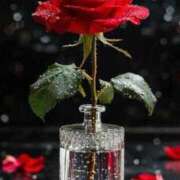 ヒメ日記 2025/08/30 07:16 投稿 野村 MCロイヤル