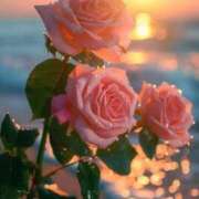 ヒメ日記 2025/09/01 08:26 投稿 野村 MCロイヤル