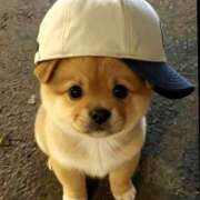 野村 おはようございます MCロイヤル