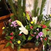 ヒメ日記 2026/01/07 06:46 投稿 野村 MCロイヤル