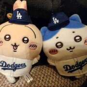 ヒメ日記 2026/01/29 06:56 投稿 野村 MCロイヤル