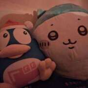 ヒメ日記 2026/02/03 06:36 投稿 野村 MCロイヤル