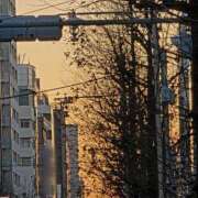 ヒメ日記 2026/02/04 06:56 投稿 野村 MCロイヤル