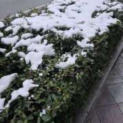 ヒメ日記 2026/02/09 06:46 投稿 野村 MCロイヤル