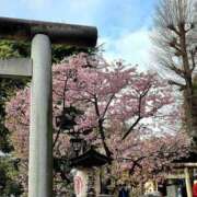 ヒメ日記 2026/02/25 06:56 投稿 野村 MCロイヤル