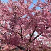 ヒメ日記 2026/03/10 06:56 投稿 野村 MCロイヤル