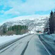 ヒメ日記 2026/03/16 08:16 投稿 野村 MCロイヤル