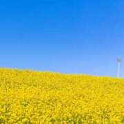 ヒメ日記 2026/03/23 07:16 投稿 野村 MCロイヤル