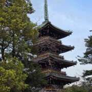 ヒメ日記 2026/04/03 06:46 投稿 野村 MCロイヤル