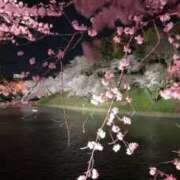 ヒメ日記 2026/04/06 06:46 投稿 野村 MCロイヤル