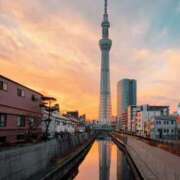 ヒメ日記 2026/04/17 08:06 投稿 野村 MCロイヤル