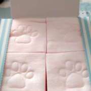 ヒメ日記 2025/08/03 01:06 投稿 福山さん SA～Sanitatem Angelum～癒やしの天使