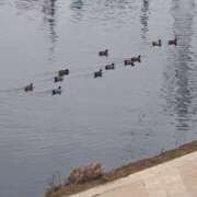 ヒメ日記 2025/08/04 11:15 投稿 福山さん SA～Sanitatem Angelum～癒やしの天使