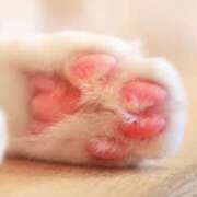 ヒメ日記 2025/09/15 00:03 投稿 福山さん SA～Sanitatem Angelum～癒やしの天使